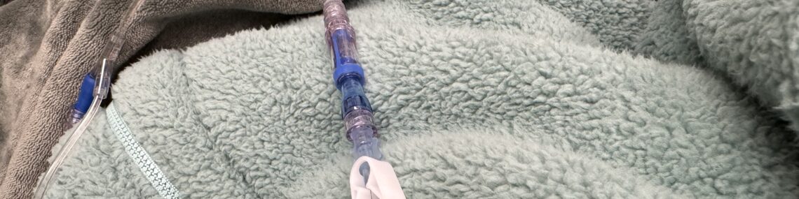 Infusion Day 2